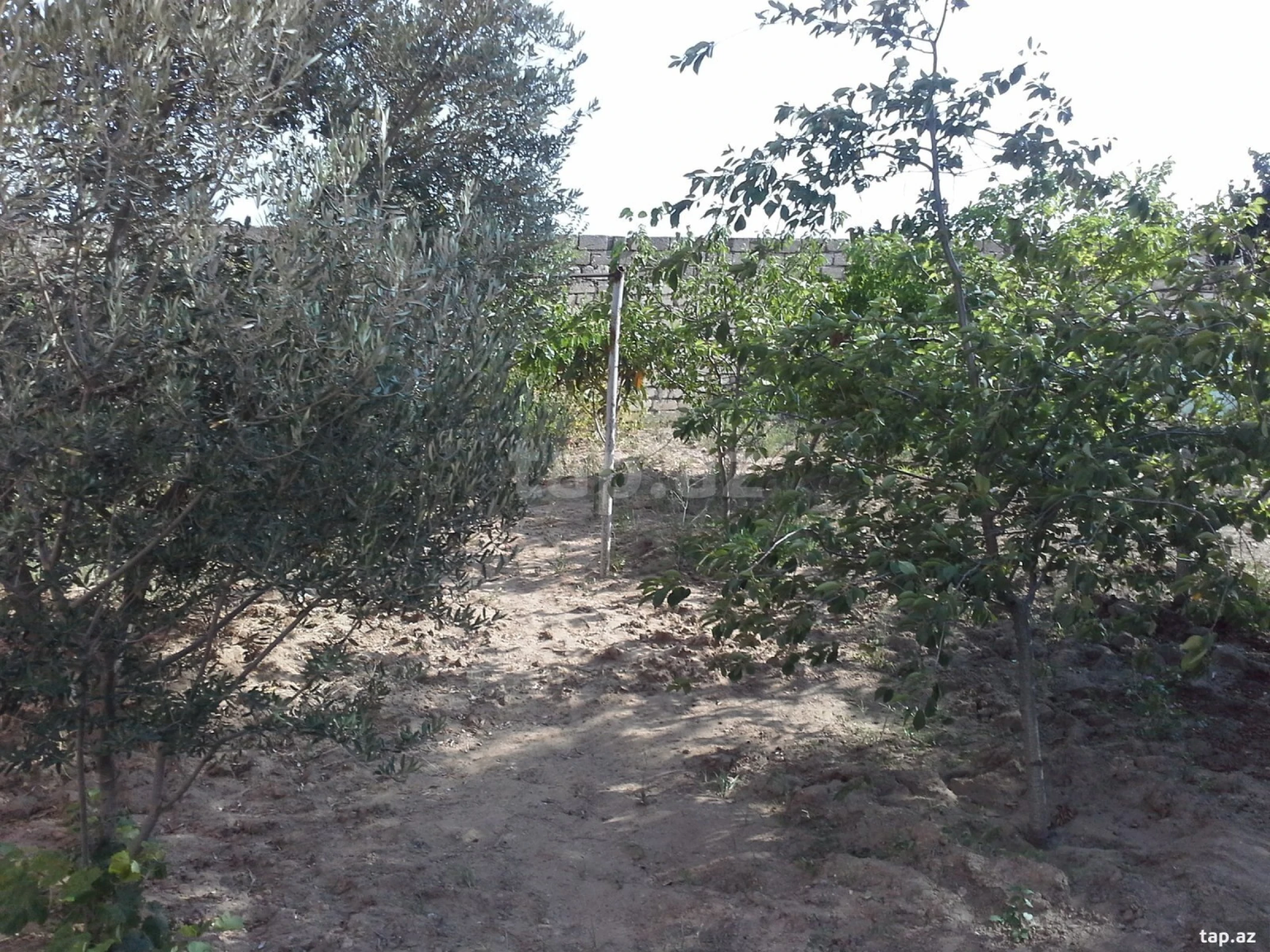 Satılır 6 otaqlı həyət evi