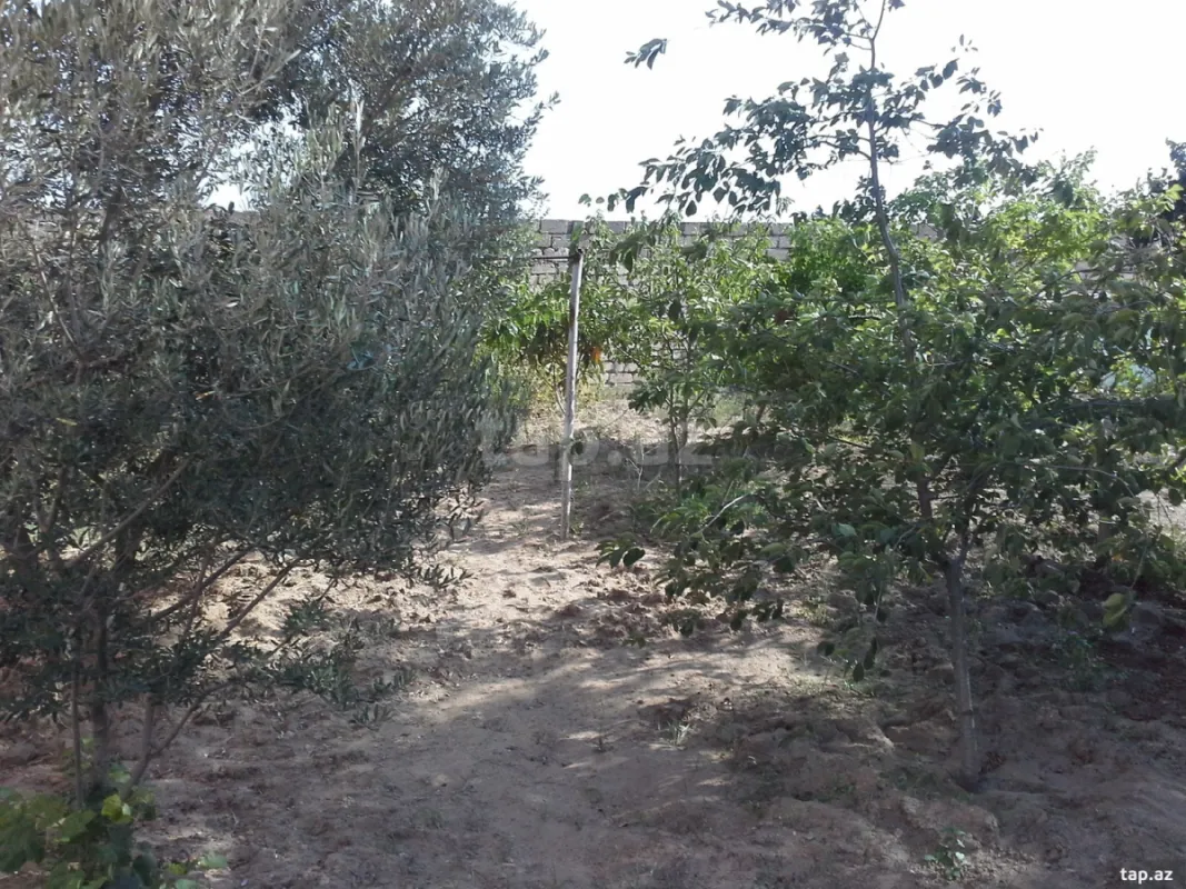 Satılır 6 otaqlı həyət evi