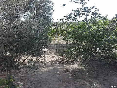 Satılır 6 otaqlı həyət evi