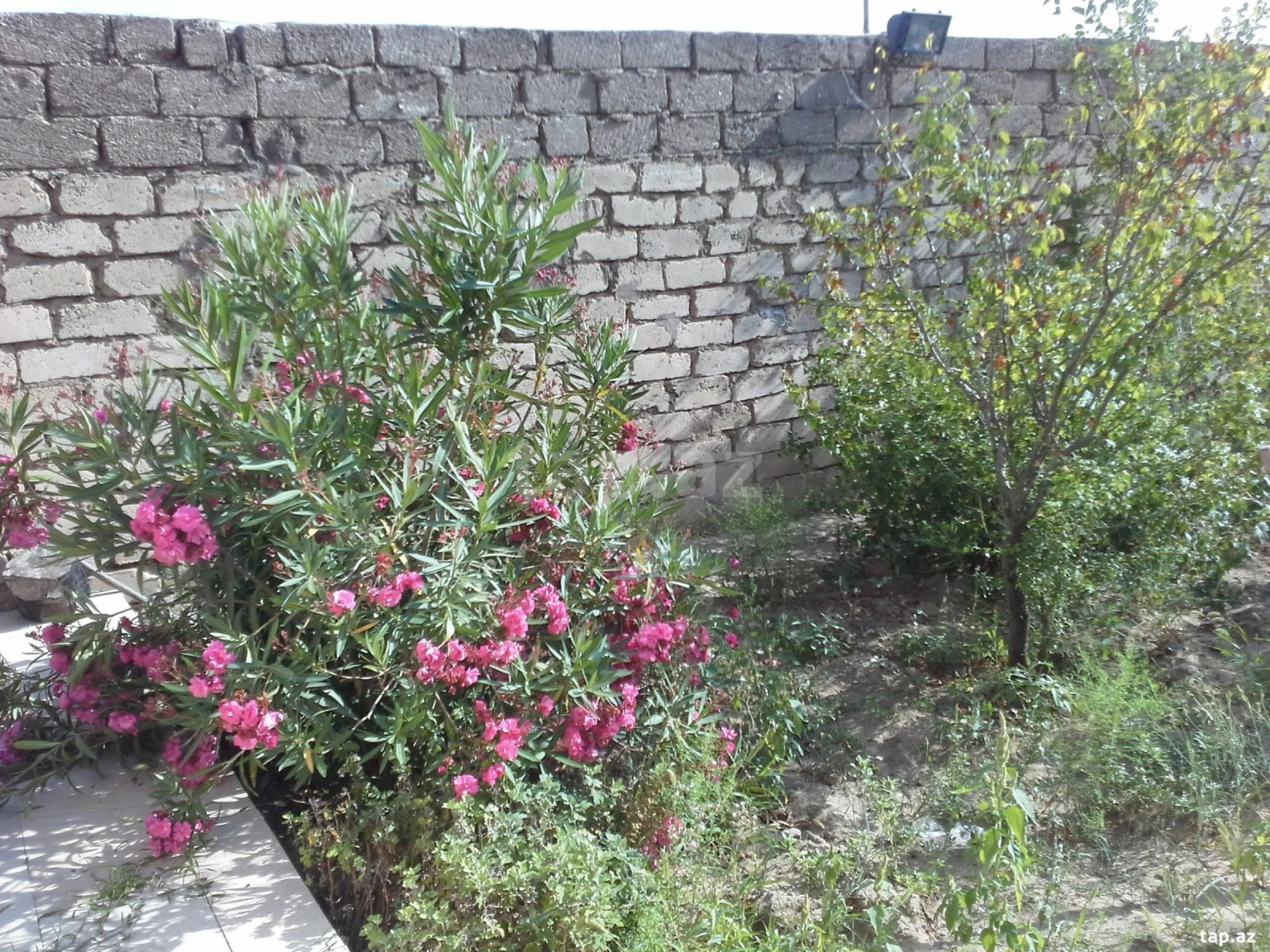 Satılır 6 otaqlı həyət evi