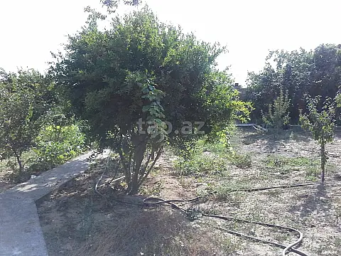 Satılır 6 otaqlı həyət evi