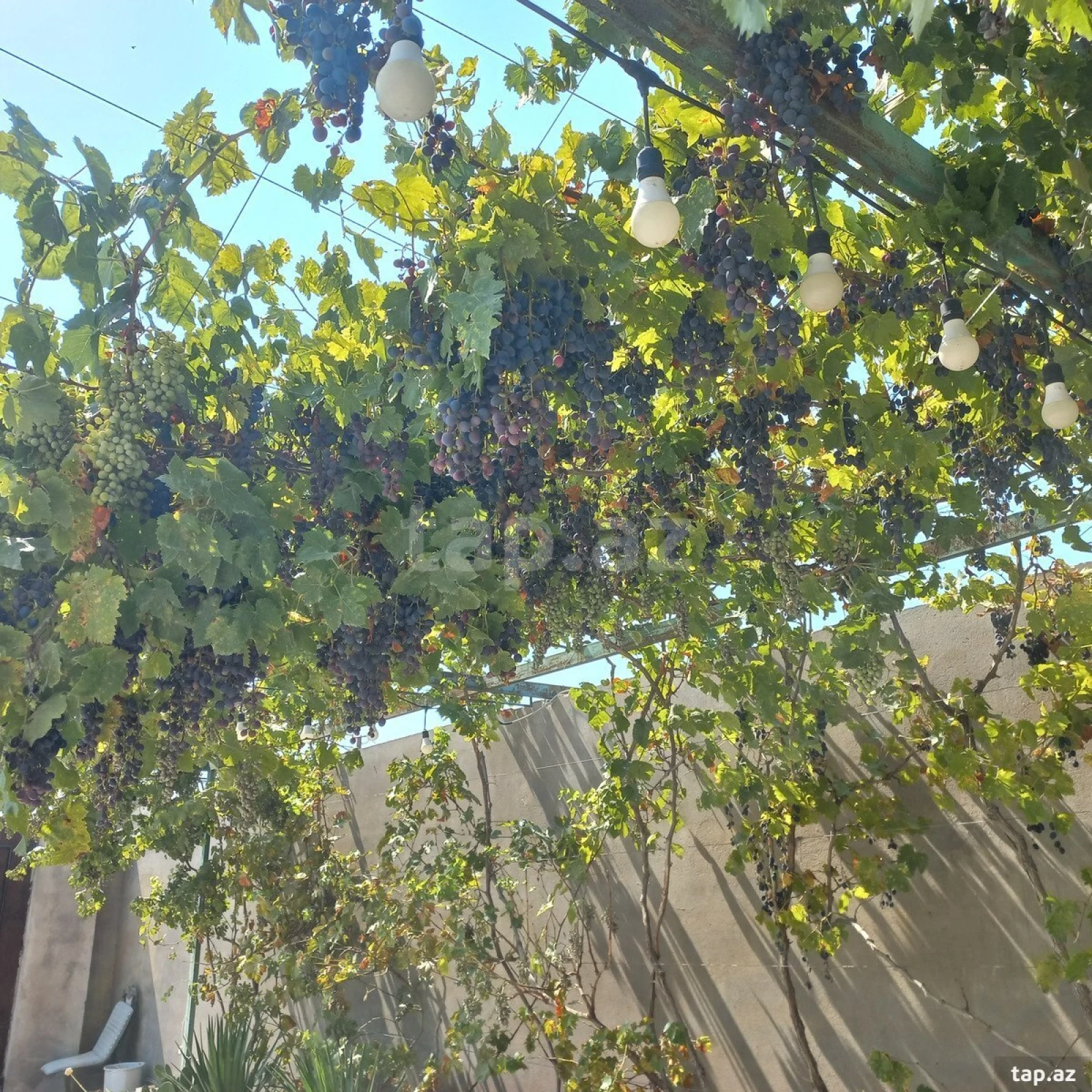 Satılır 3 otaqlı həyət evi