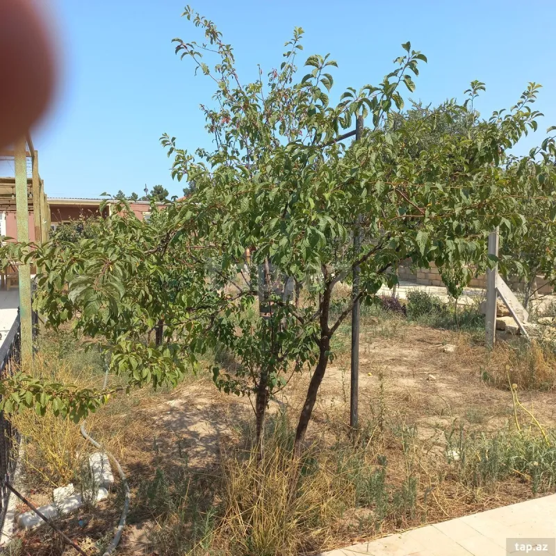 Satılır 3 otaqlı həyət evi