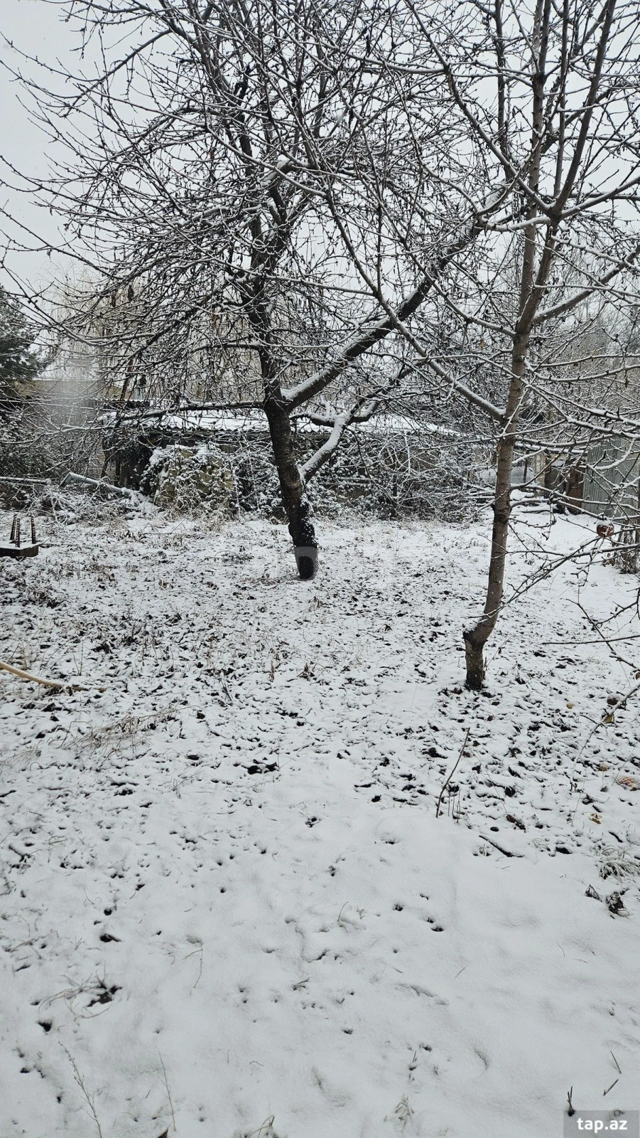 Satılır 3 otaqlı həyət evi