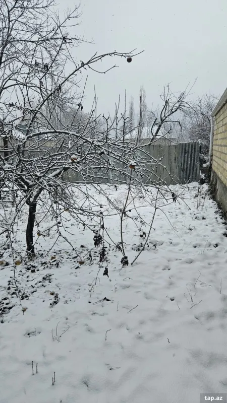 Satılır 3 otaqlı həyət evi