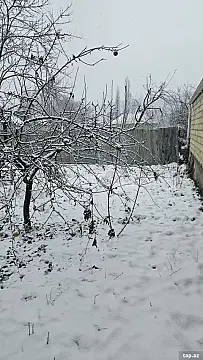 Satılır 3 otaqlı həyət evi