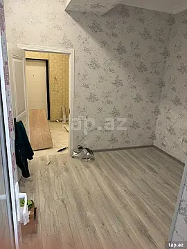 Kirayə verilir 3 otaqlı yeni tikili 66 m²