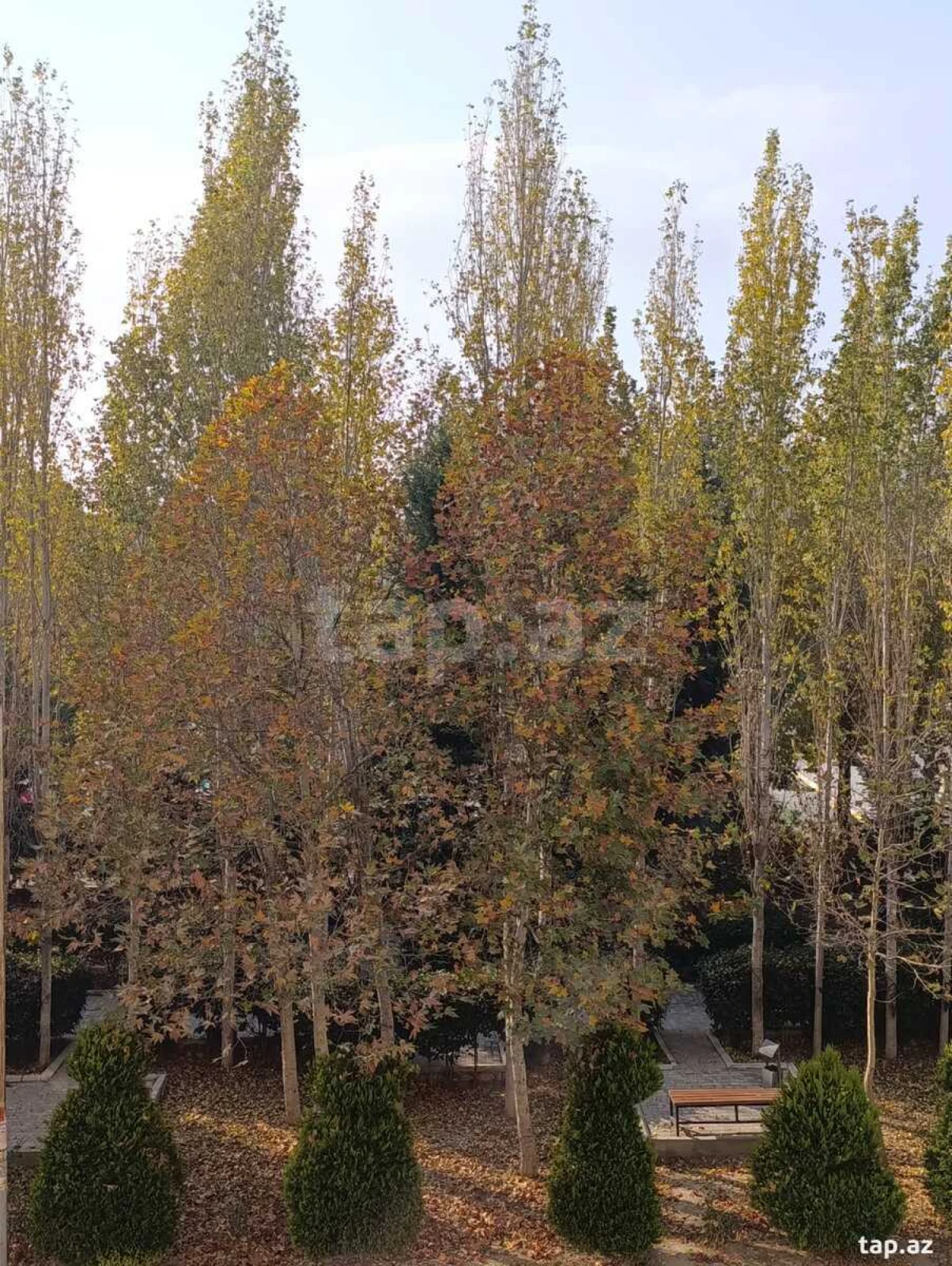 Satılır 3 otaqlı yeni tikili 76.2 m²