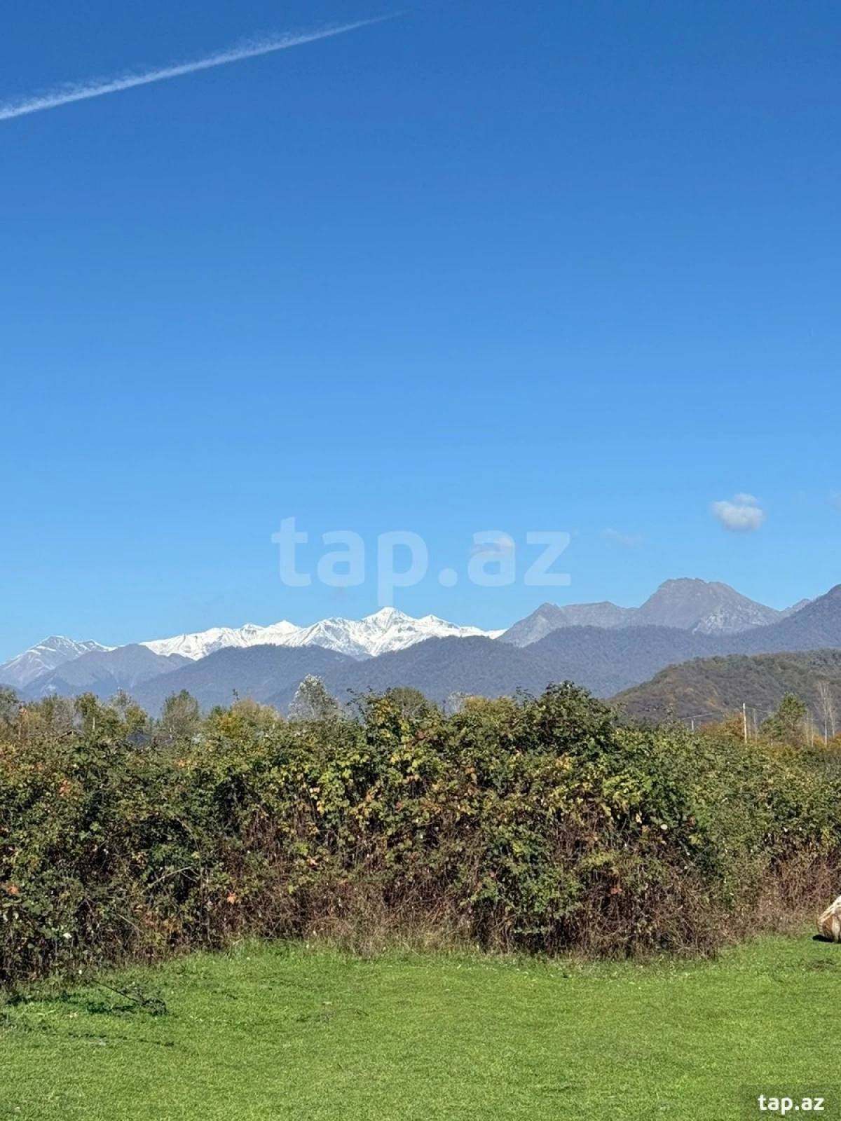 Satılır torpaq sahəsi