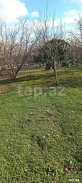 Satılır torpaq sahəsi — Xaçmaz