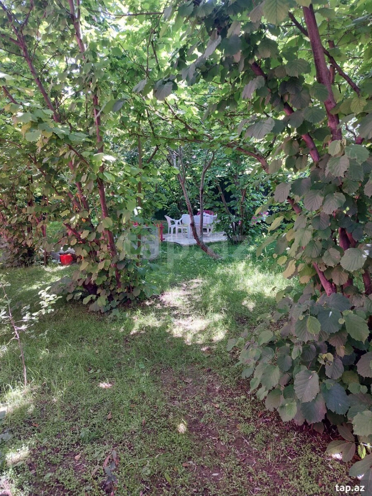 Satılır 3 otaqlı həyət evi 80 m²