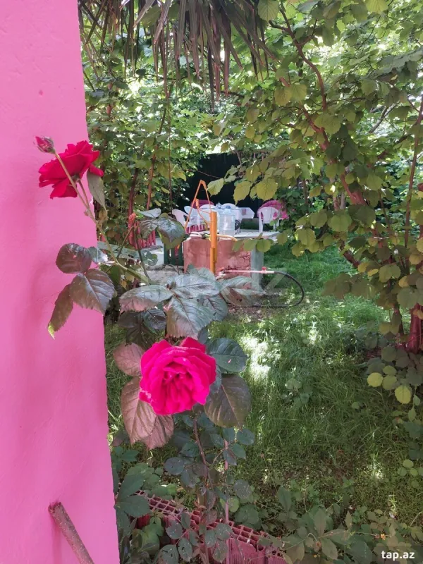 Satılır 3 otaqlı həyət evi 80 m²