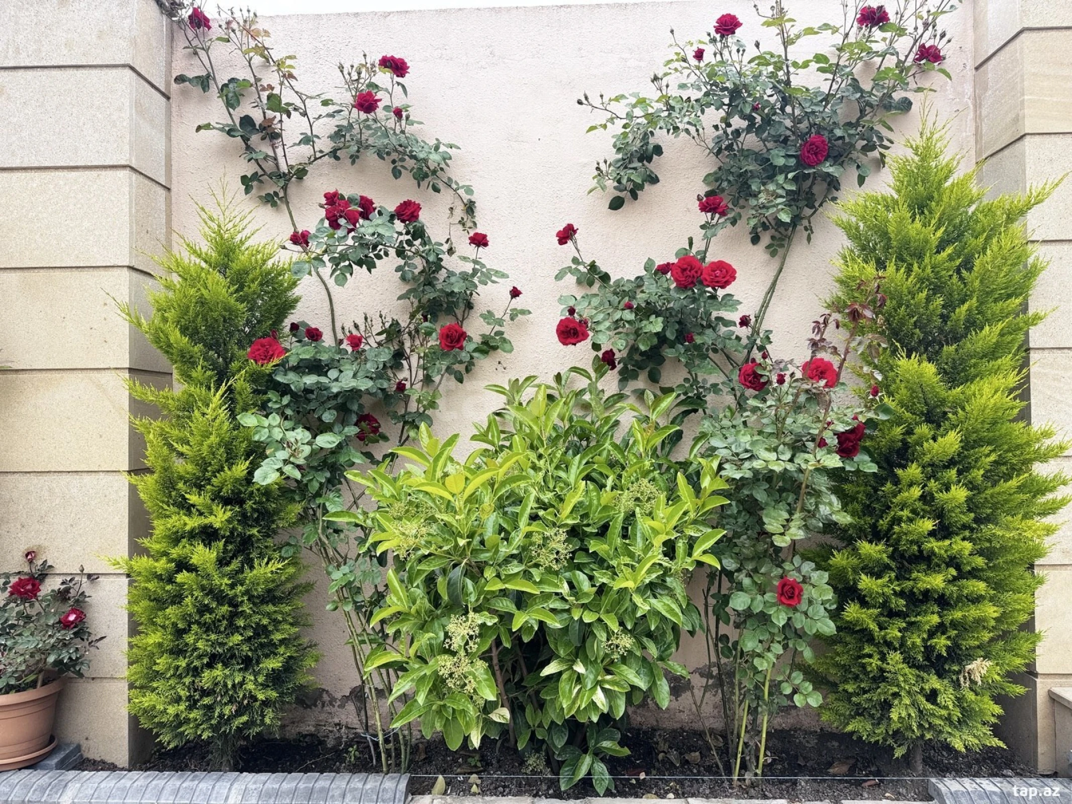 Satılır 4 otaqlı həyət evi