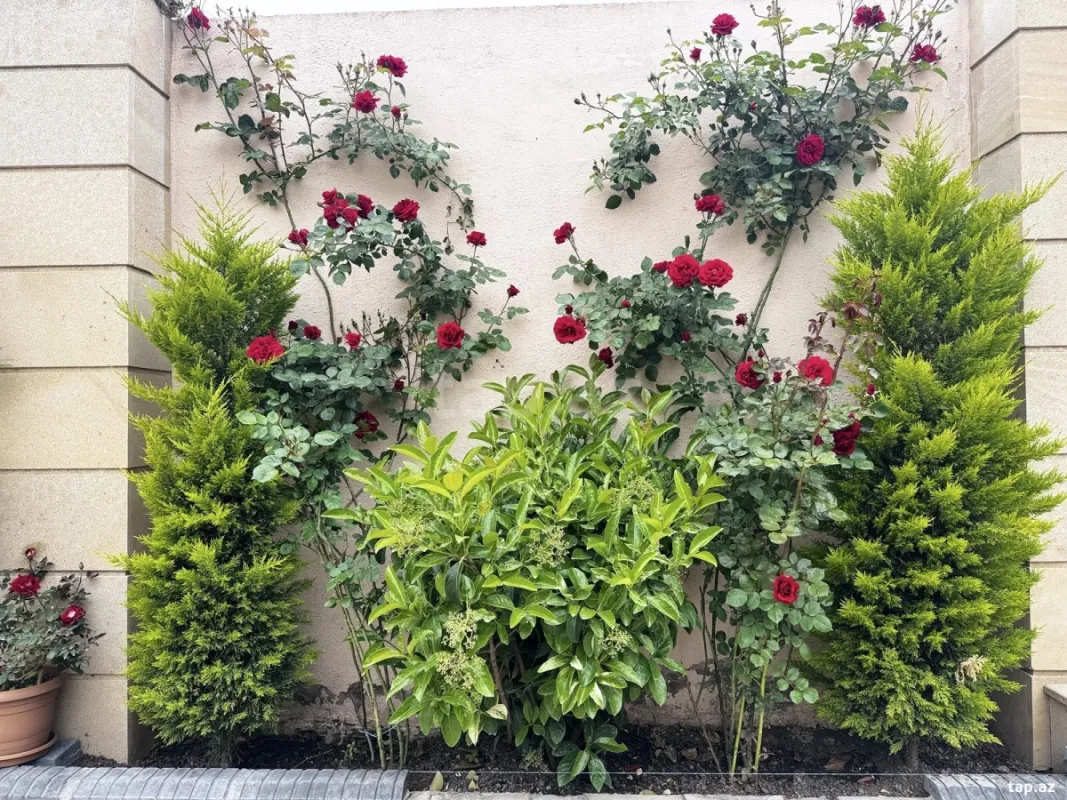 Satılır 4 otaqlı həyət evi