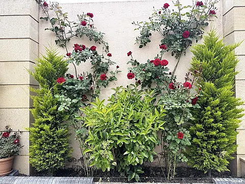 Satılır 4 otaqlı həyət evi