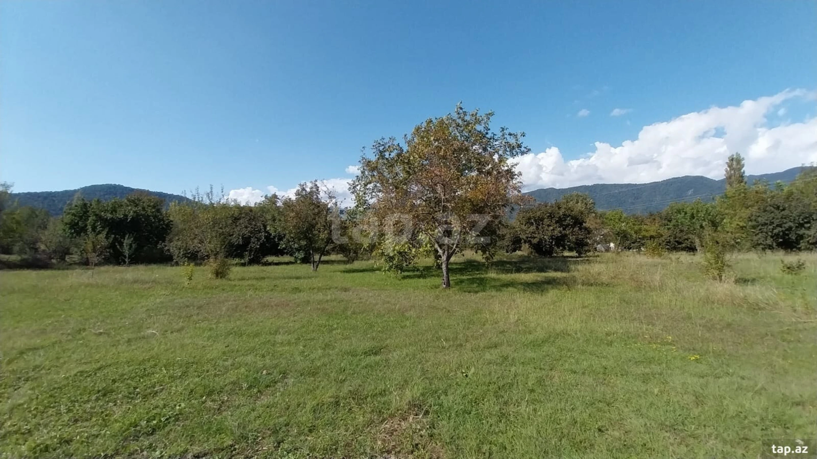 Satılır torpaq sahəsi