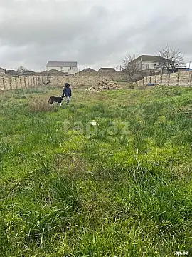 Satılır torpaq sahəsi — Bakı, Bilgəh