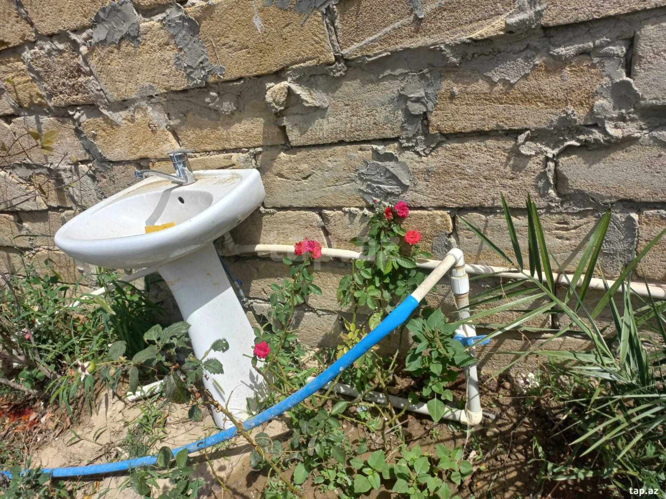 Kirayə verilir 2 otaqlı həyət evi