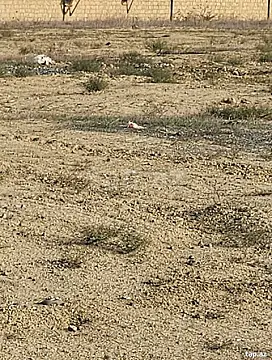 Satılır torpaq sahəsi — Bakı, Keşlə