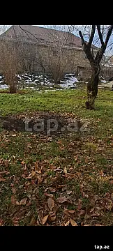 Satılır torpaq sahəsi — Şəki