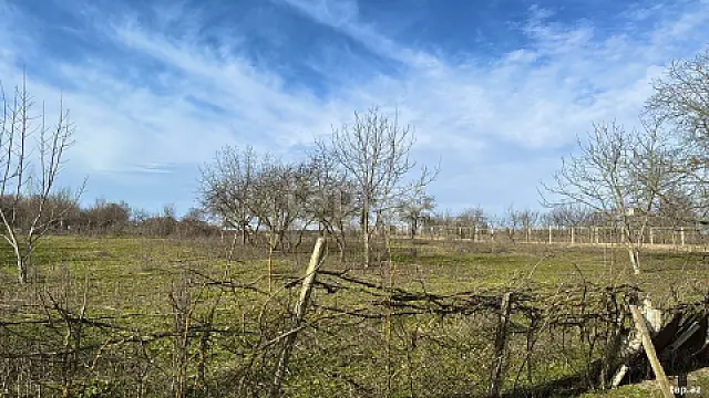 Satılır torpaq sahəsi — Şamaxı