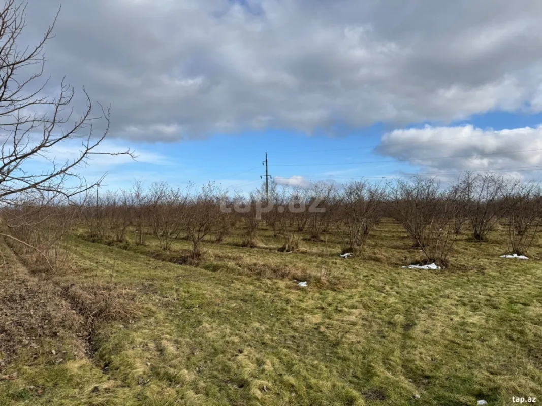 Satılır torpaq sahəsi