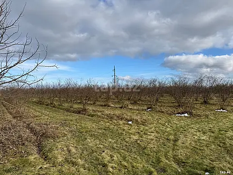 Satılır torpaq sahəsi — Xaçmaz