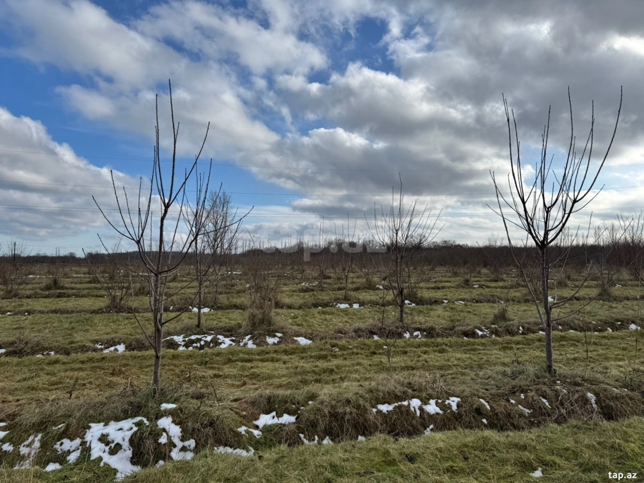 Satılır torpaq sahəsi