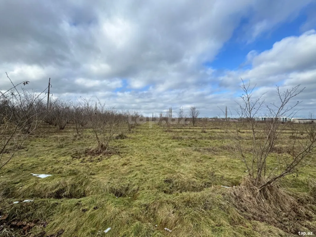 Satılır torpaq sahəsi