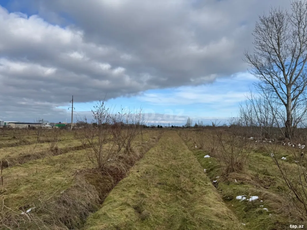 Satılır torpaq sahəsi