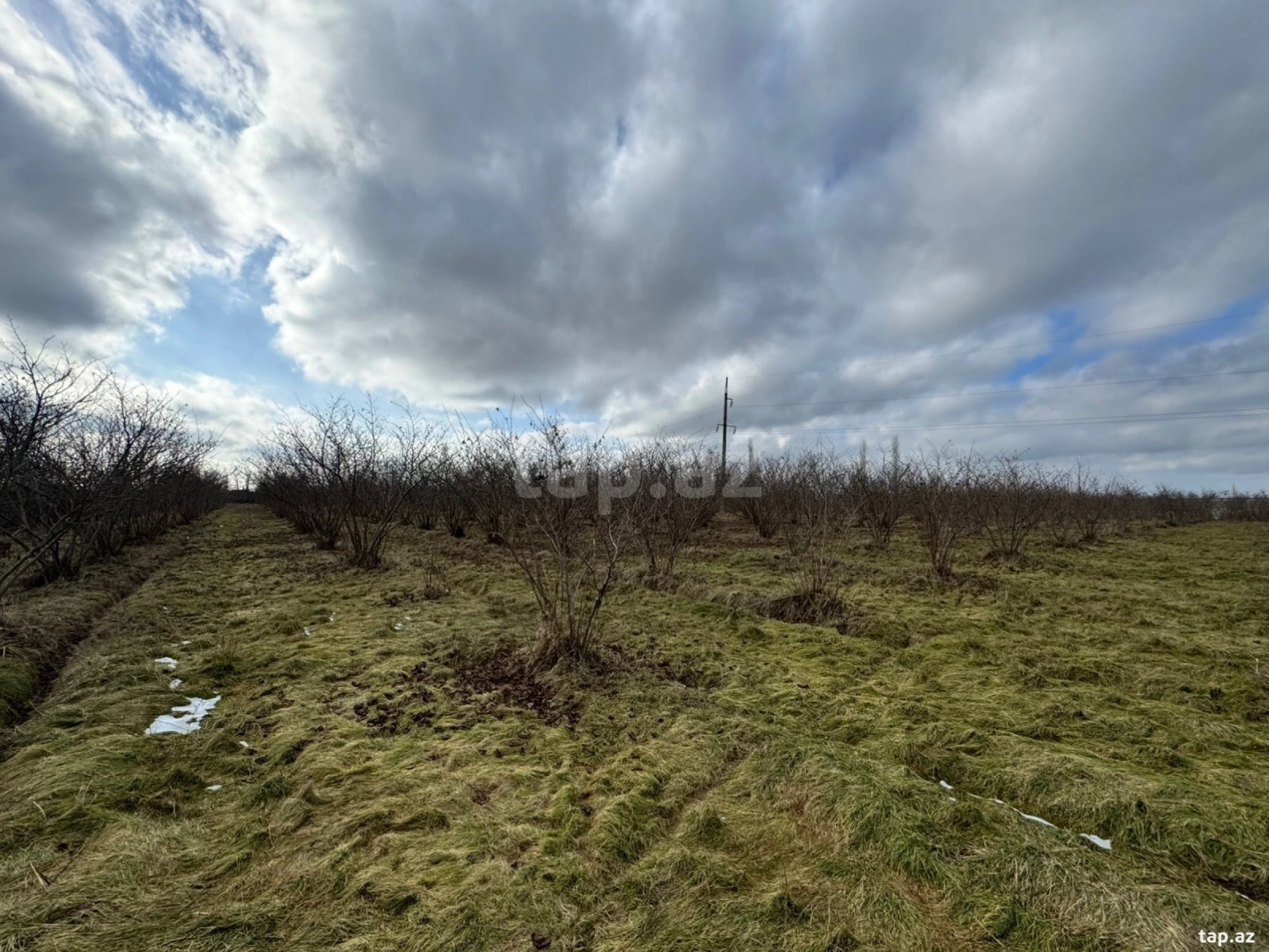 Satılır torpaq sahəsi