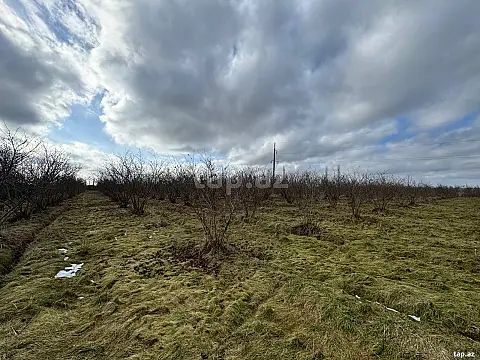 Satılır torpaq sahəsi