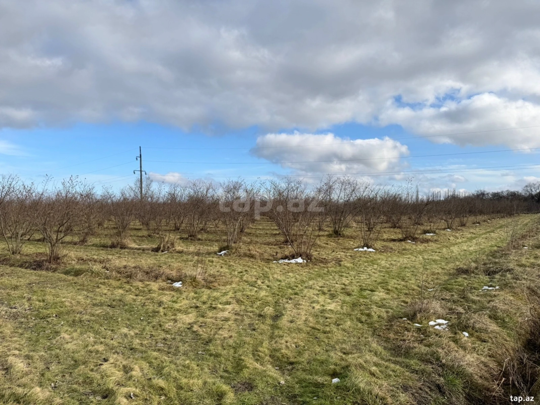 Satılır torpaq sahəsi