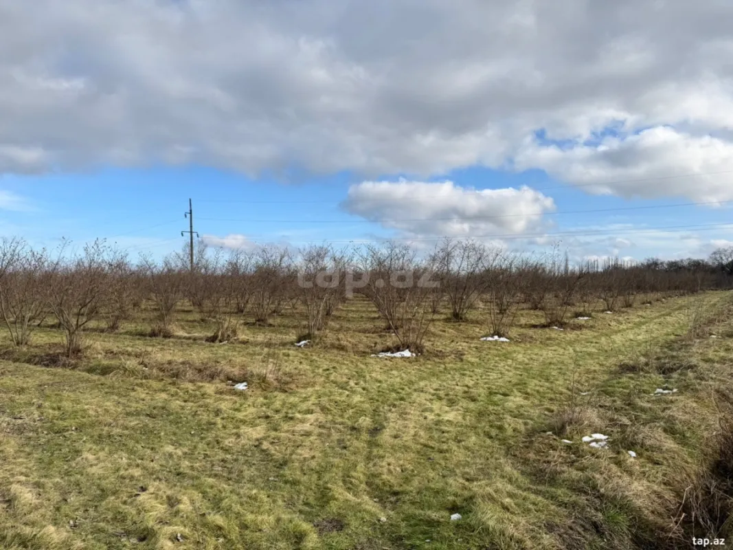 Satılır torpaq sahəsi