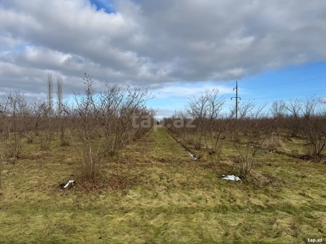 Satılır torpaq sahəsi