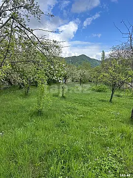 Satılır torpaq sahəsi — İsmayıllı