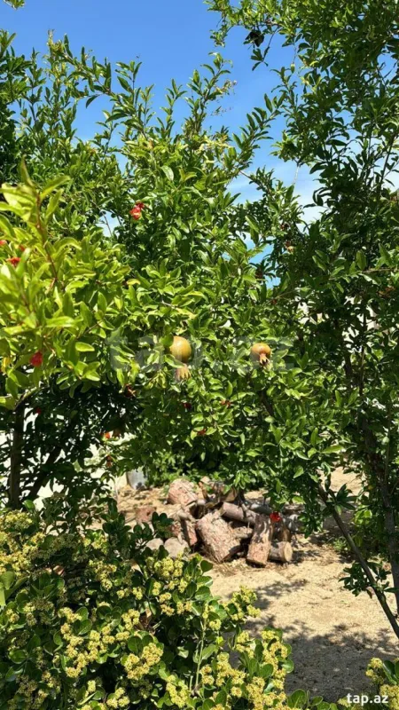 Satılır 3 otaqlı həyət evi