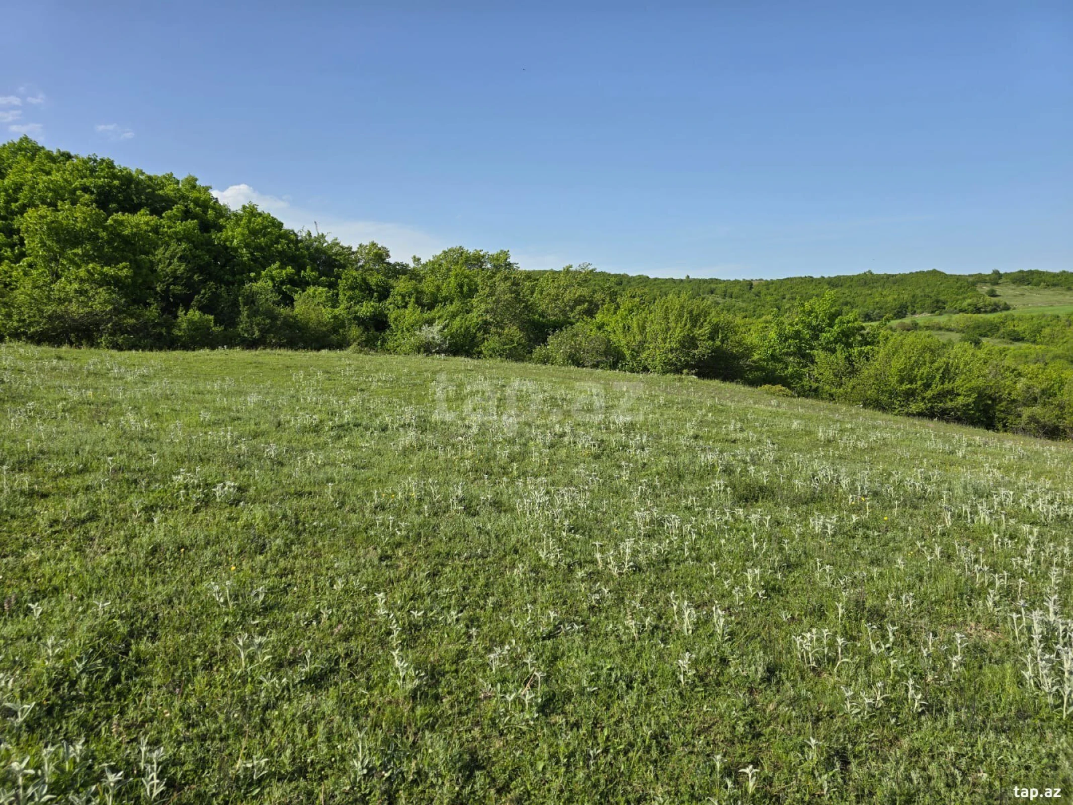 Satılır torpaq sahəsi