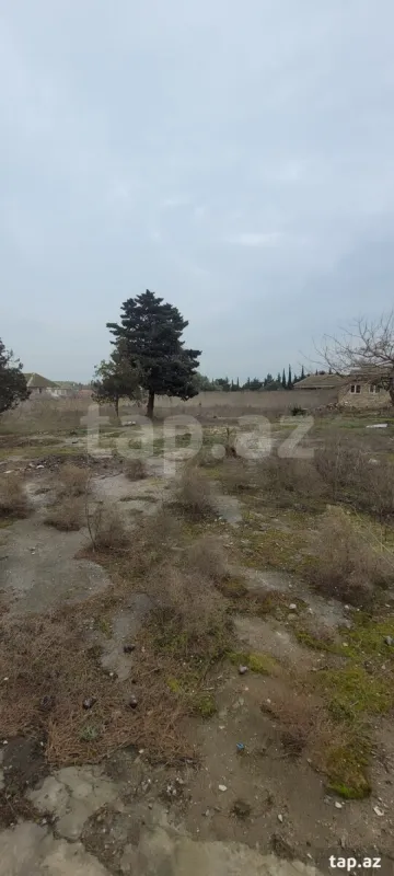 Satılır torpaq sahəsi