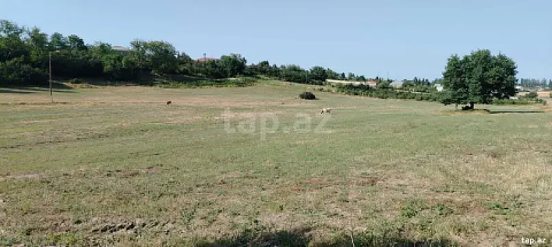 Satılır torpaq sahəsi — Qusar