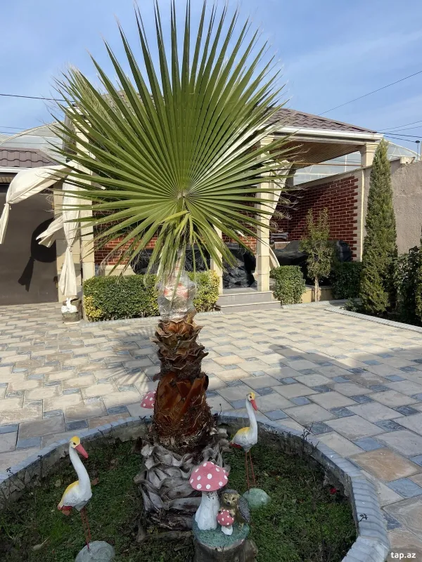 Satılır 4 otaqlı həyət evi