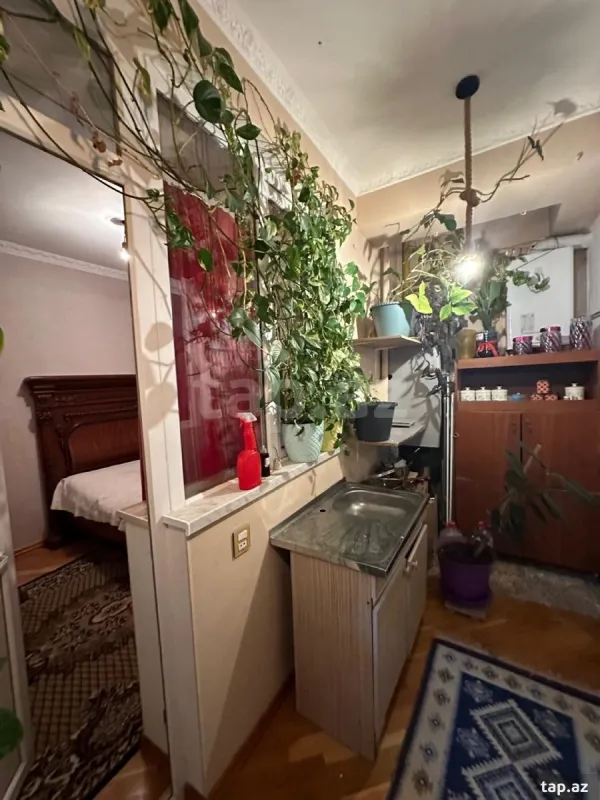 Kirayə verilir 2 otaqlı yeni tikili 50 m²