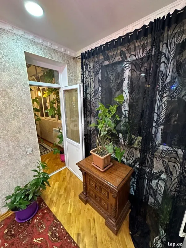 Kirayə verilir 2 otaqlı yeni tikili 50 m²