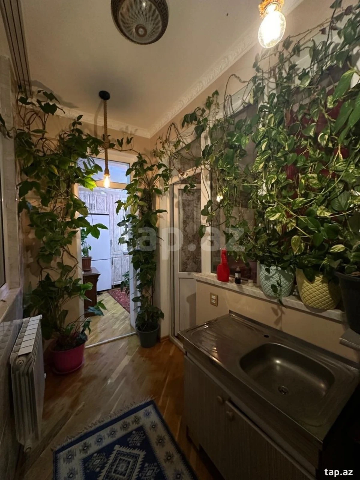 Kirayə verilir 2 otaqlı yeni tikili 50 m²