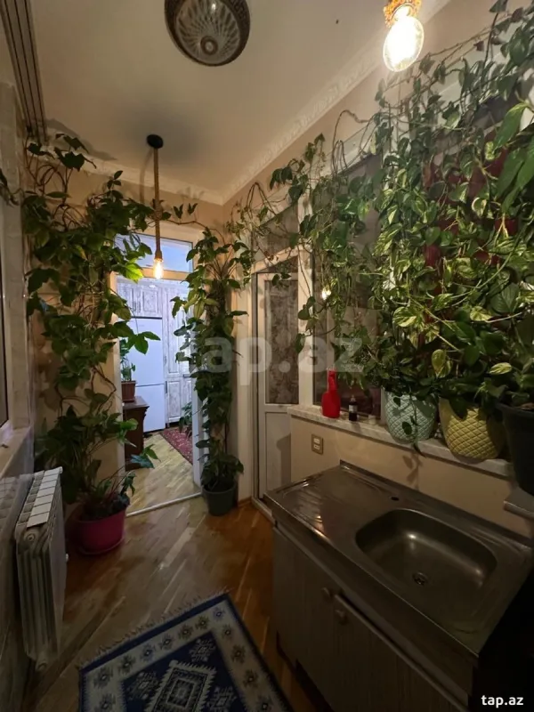 Kirayə verilir 2 otaqlı yeni tikili 50 m²