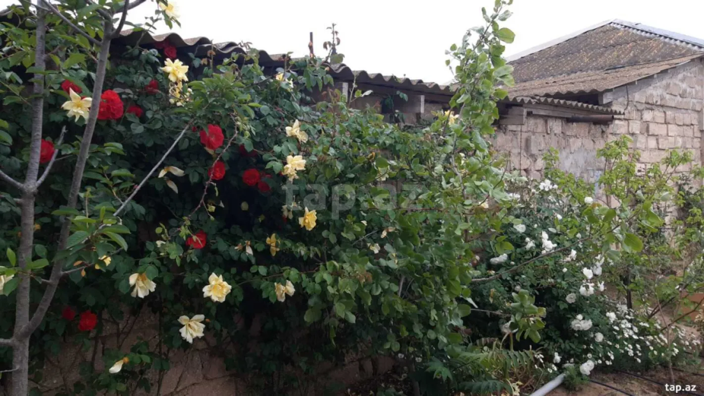 Satılır 4 otaqlı həyət evi