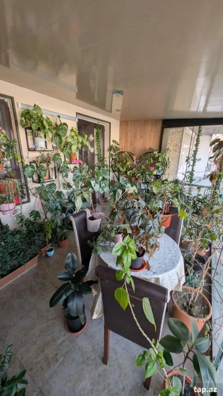 Satılır 2 otaqlı mənzil 51 m²