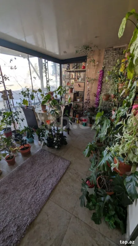 Satılır 2 otaqlı mənzil 51 m²