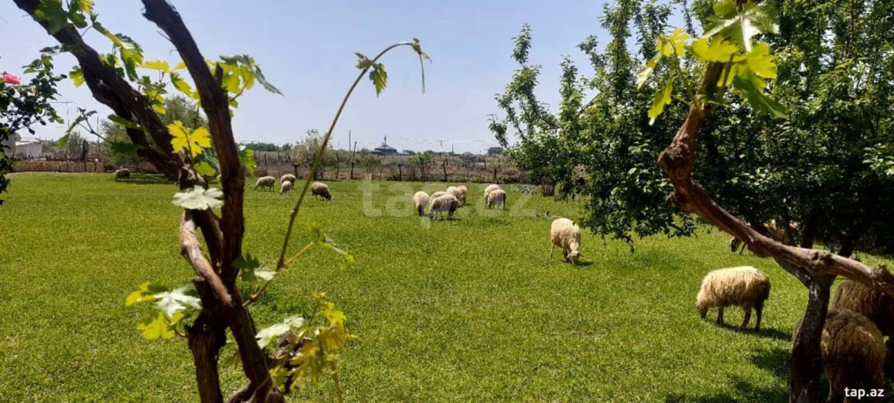 Satılır 4 otaqlı həyət evi 45 m²