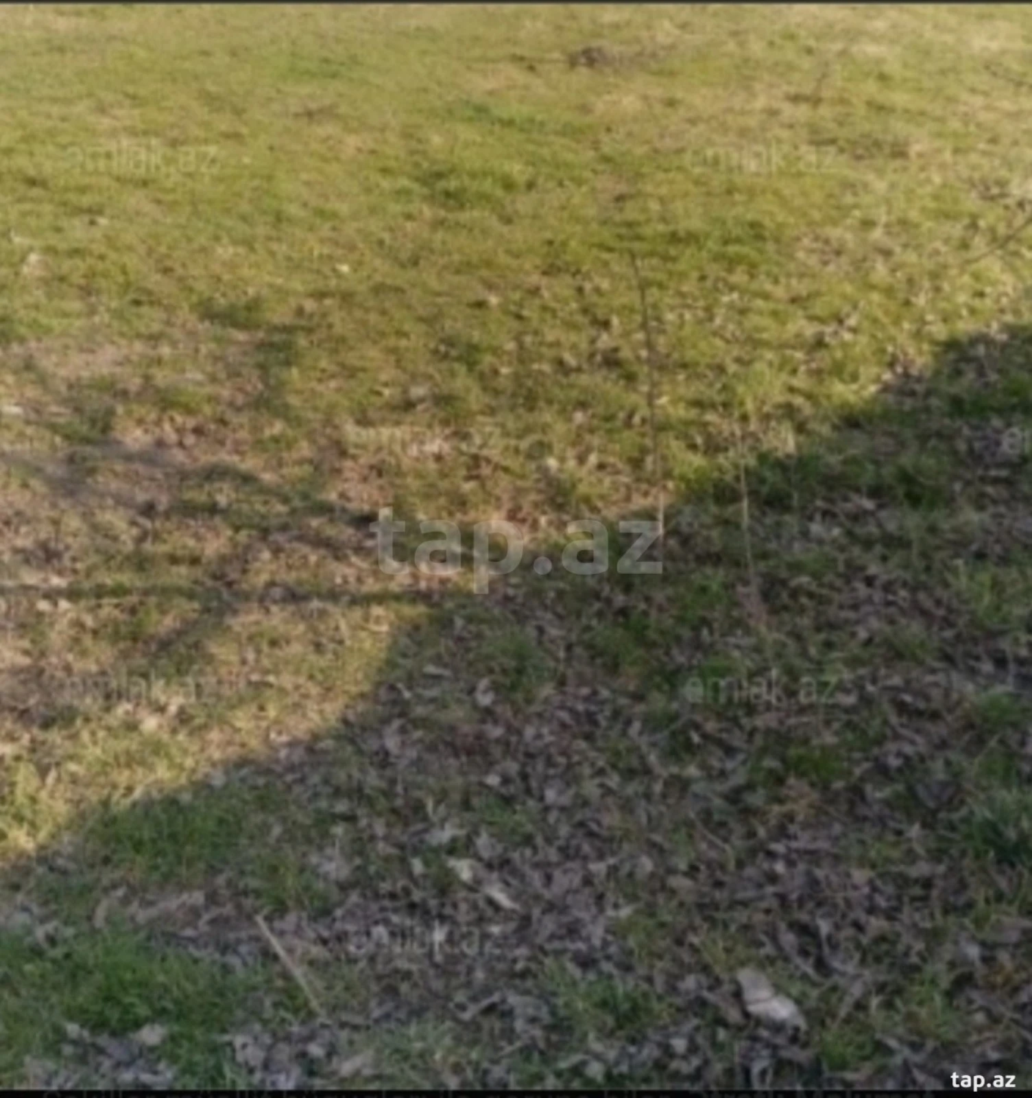 Satılır torpaq sahəsi